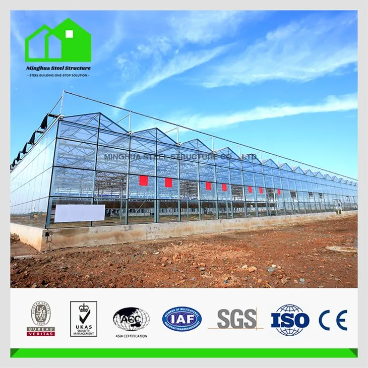 Steel Structure Vegetable Greenhouse